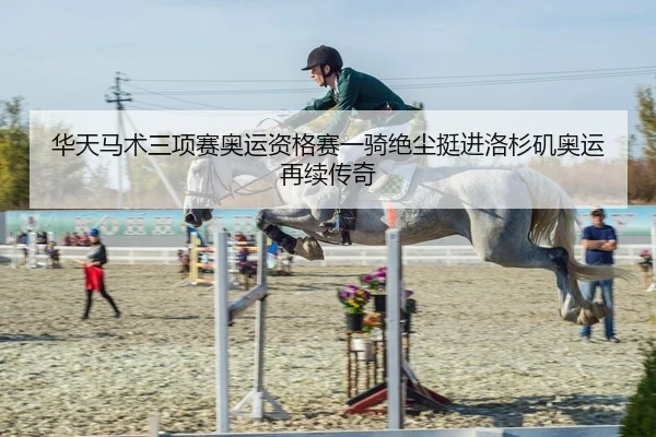 华天马术三项赛奥运资格赛一骑绝尘挺进洛杉矶奥运再续传奇
